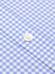 Buton down collar Anthony micro gingham shirt - Blue sky 