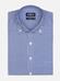 Buton down collar Anthony gingham shirt - Navy 