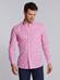Pink gingham checked shirt - Button-down collar