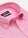 Kurzarmhemd Barry gestreift Fuchsia-Rosa - Button down kragen