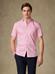 Kurzarmhemd Barry gestreift Fuchsia-Rosa - Button down kragen