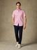 Kurzarmhemd Barry gestreift Fuchsia-Rosa - Button down kragen