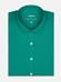 Green cotton voile slim fit shirt
