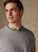 Tshirt Andrew Grey