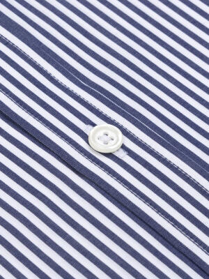 Davin Navy Striped Shirt - Button-Down Collar