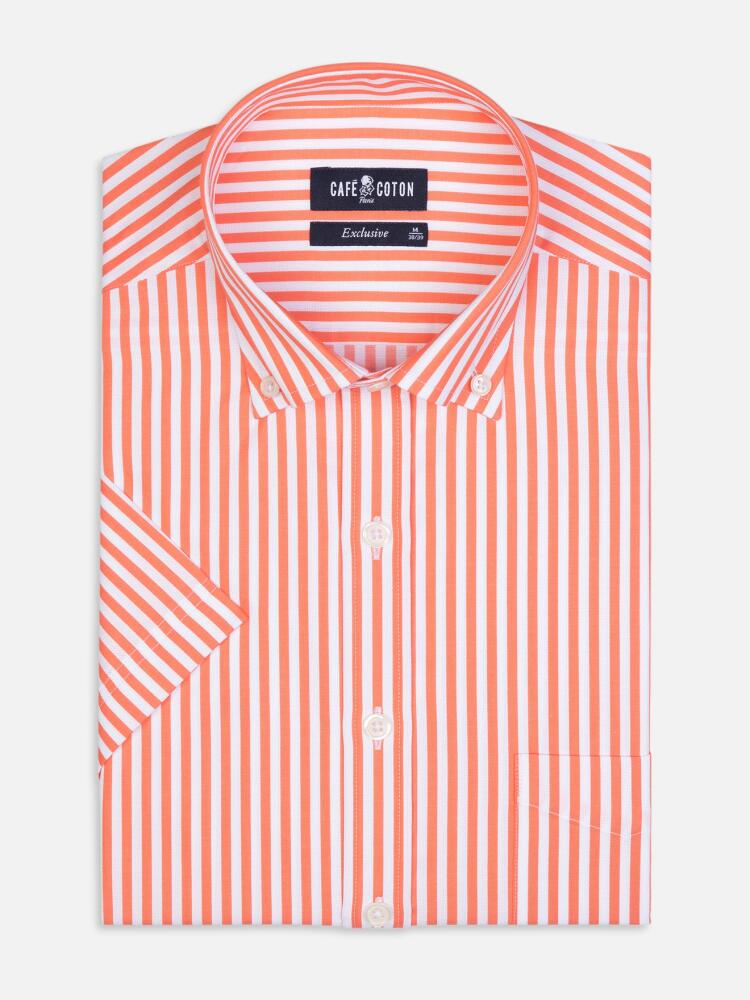 Benjy apricot stripe short sleeves shirt  - Buttoned collar