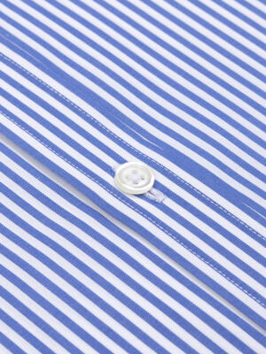 Davin Blue Striped Shirt