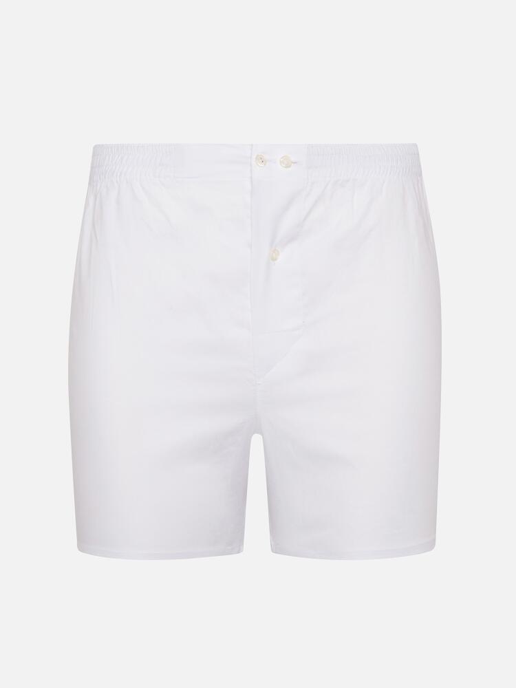 White oxford boxer