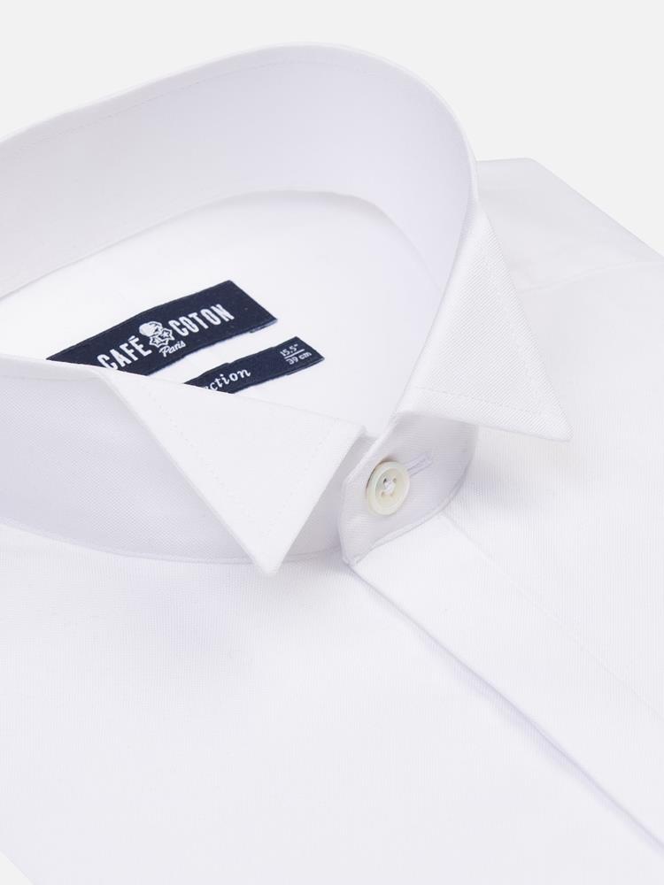 Royal white pinpoint shirt - Wingtip collar